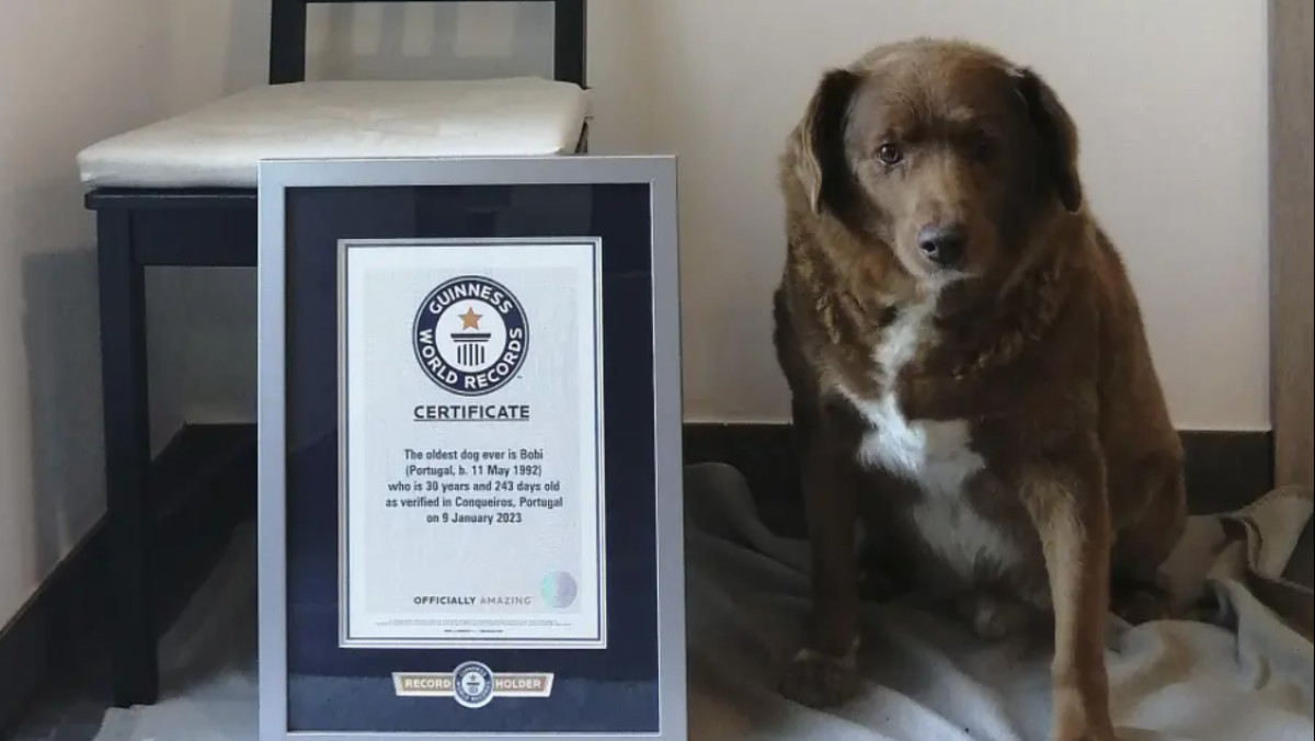  Guinness World Records via AP