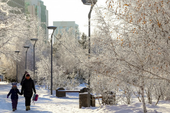 Фотография к новости: Снег, низовая метель и гололёд: в ряде регионов объявлено штормовое предупреждение