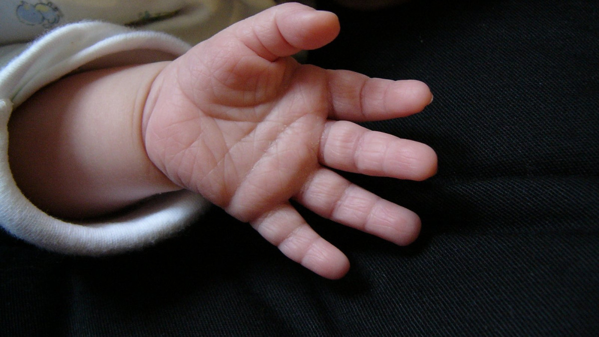  freeimages.com иллюстративное фото