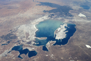 Фотография к новости: Токаев дал поручения главе исполкома Международного фонда спасения Арала