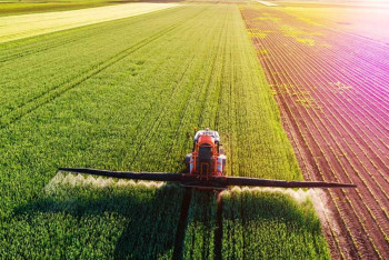 Фотография к новости: Названы лидеры среди регионов Казахстана по вложениям в АПК