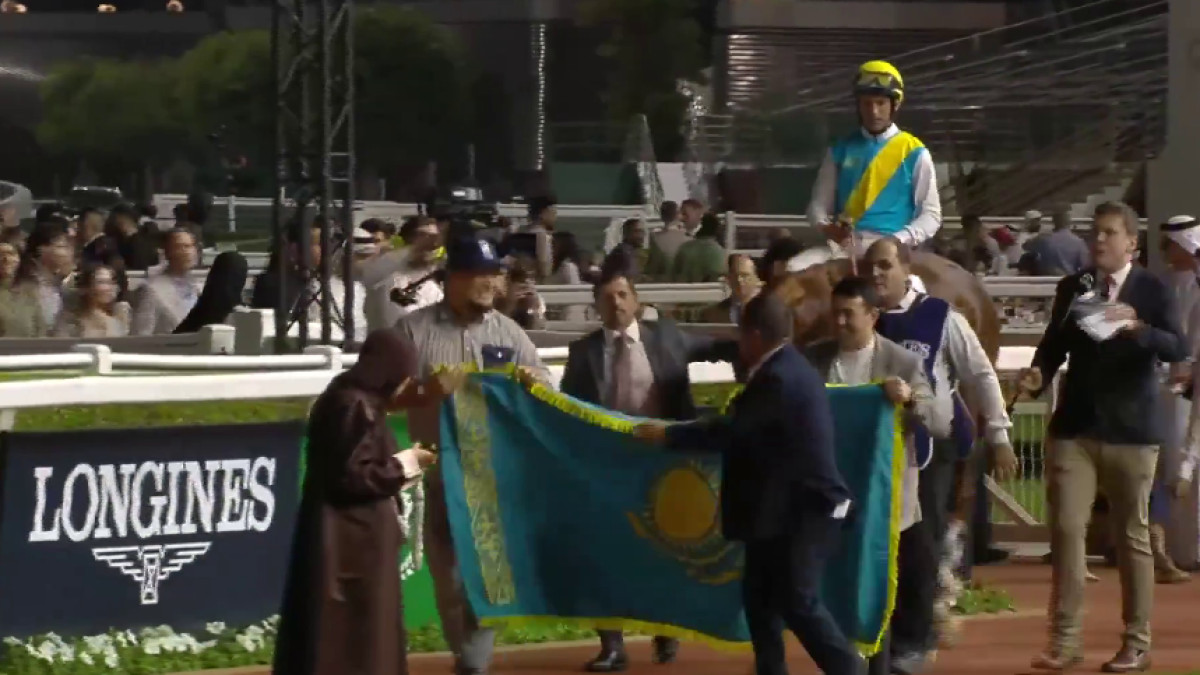  скриншот  с видео