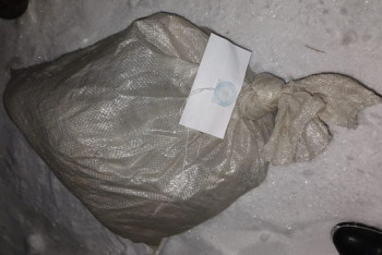 Фотография к новости: Уголовное дело завели на жителя  Акмолинской области за убийство косули