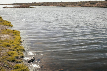 Фотография к новости: Вопрос использования вод трансграничных рек намерен решить Казахстан