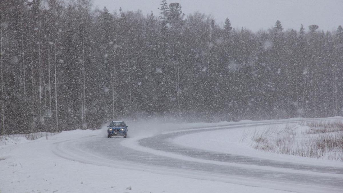  pexels.com / иллюстративное