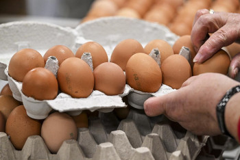 Фотография к новости: Глава Минторговли назвал причины роста цен на яйца в Казахстане