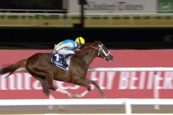 Фотография к новости: Десятки миллионов долларов предлагают за казахстанского скакуна