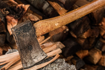 Фотография к новости: Жуткое видео со зверской расправой над щенятами прокомментировали в полиции ВКО