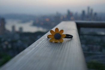 Фотография к новости: В Китае казнили пару, которая выбросила двоих детей с 15-го этажа