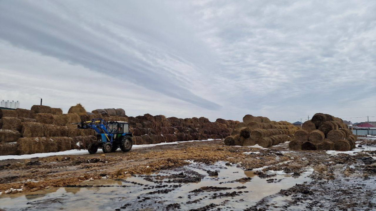  Гульнара Джусупова