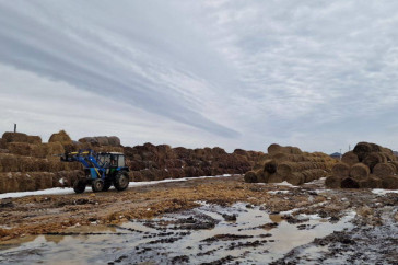 Фотография к новости: Казахстанских фермеров лишают земли, но компенсации они не получат