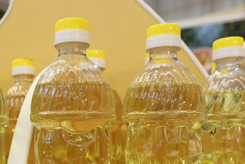 Фотография к новости: Где в Казахстане заметнее всего упали цены на подсолнечное масло