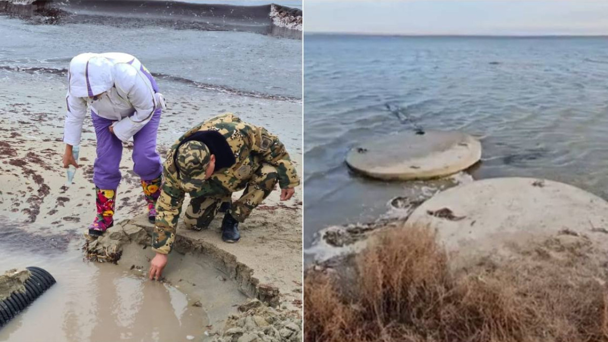  t.me/EcologyofQazaqstan