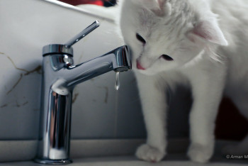 Фотография к новости: К нормальному водоснабжению возвращают Актобе