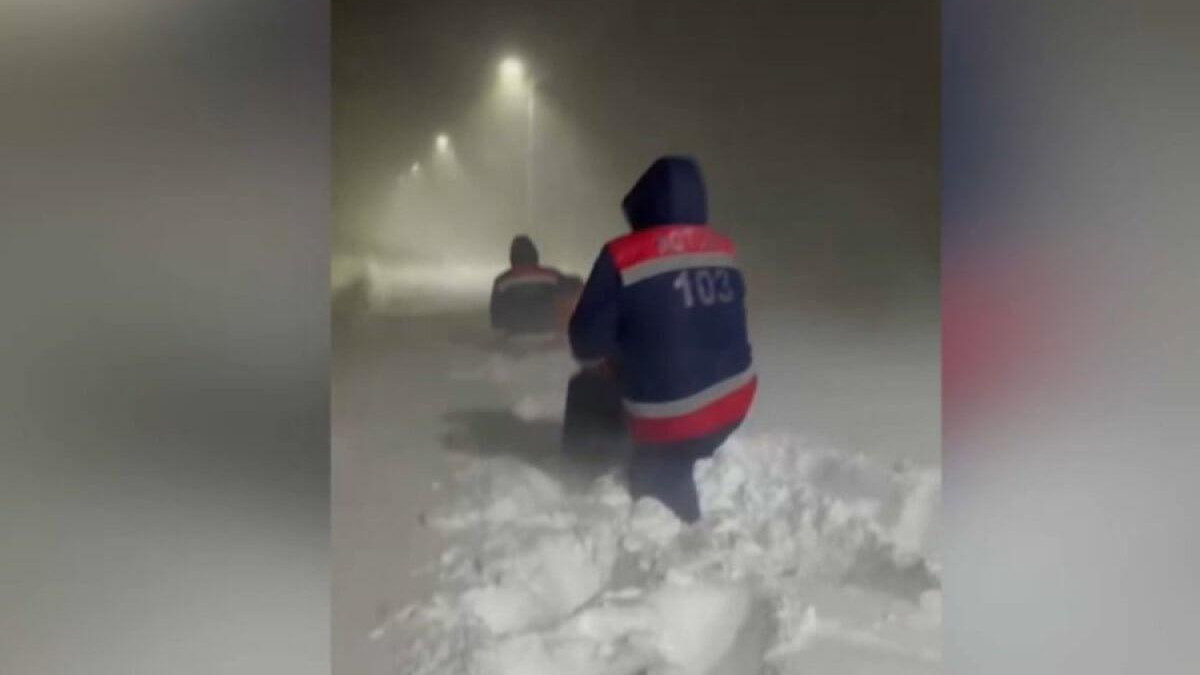  скриншот видео