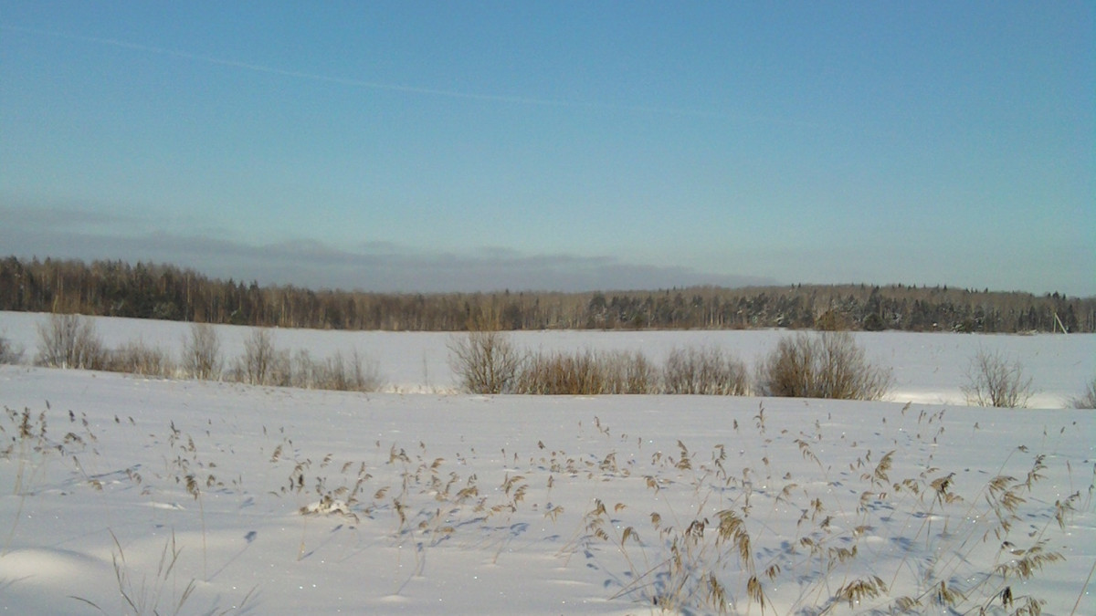  pxhere.com/ru/photographer/4052680