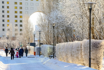 Фотография к новости: Об ухудшении качества воздуха предупредили жителей трёх городов