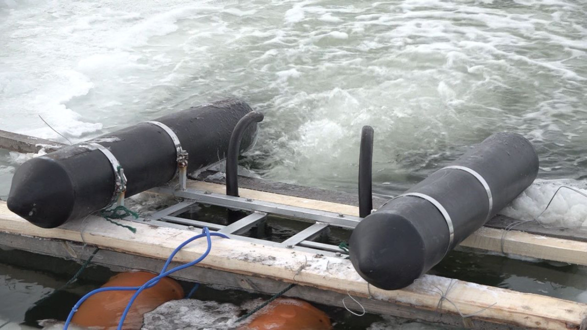  Наталья Волкова.