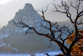 Фотография к новости: Названы самые популярные регионы Казахстана у иностранных туристов