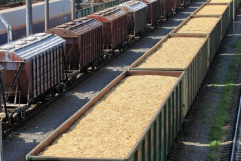 Фотография к новости: Останемся без хлеба? Сразу три угрозы для зернового рынка Казахстана назвал эксперт