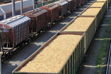 Фотография к новости: Останемся без хлеба? Сразу три угрозы для зернового рынка Казахстана назвал эксперт