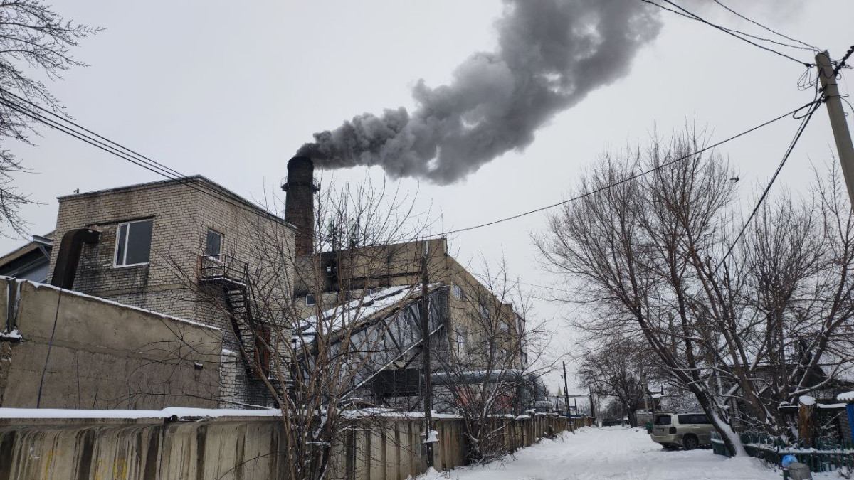  Альбина Халел.