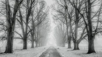 Фотография к новости: До 92 выросло количество закрытых дорог в Казахстане