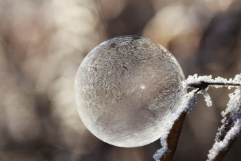 Фотография к новости: Школьников Астаны перевели на дистанционное обучение
