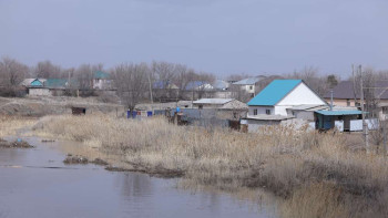 Фотография к новости: Большая вода может затопить 36 населённых пунктов Актюбинской области