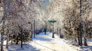 Фотография к новости: Морозы задержатся в Казахстане