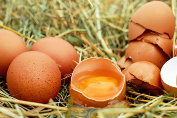 Фотография к новости: На сколько подорожают яйца весной: установить предельные цены намерено Минторговли