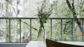 Фотография к новости: Какой будет весна в Казахстане, рассказали синоптики