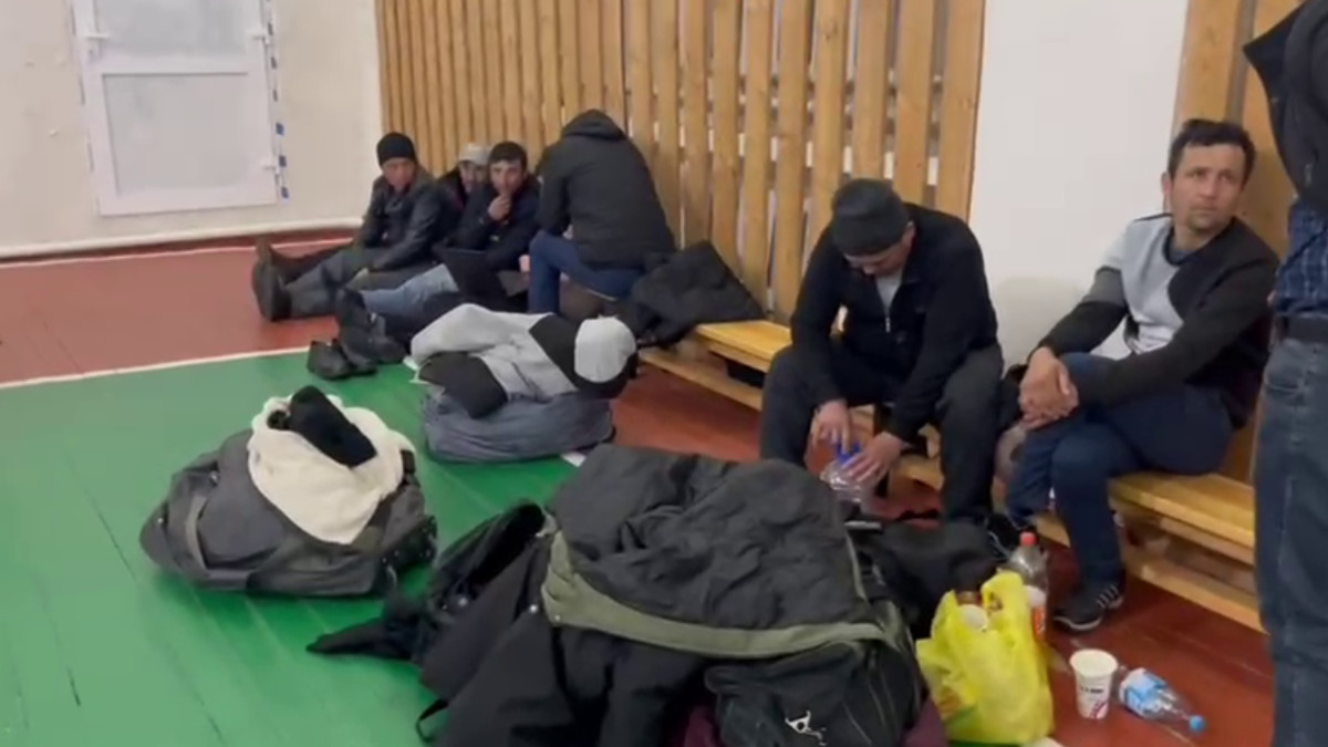  скриншот с видео