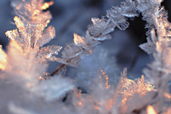 Фотография к новости: Сильный мороз до 45 градусов ожидается в некоторых регионах Казахстана