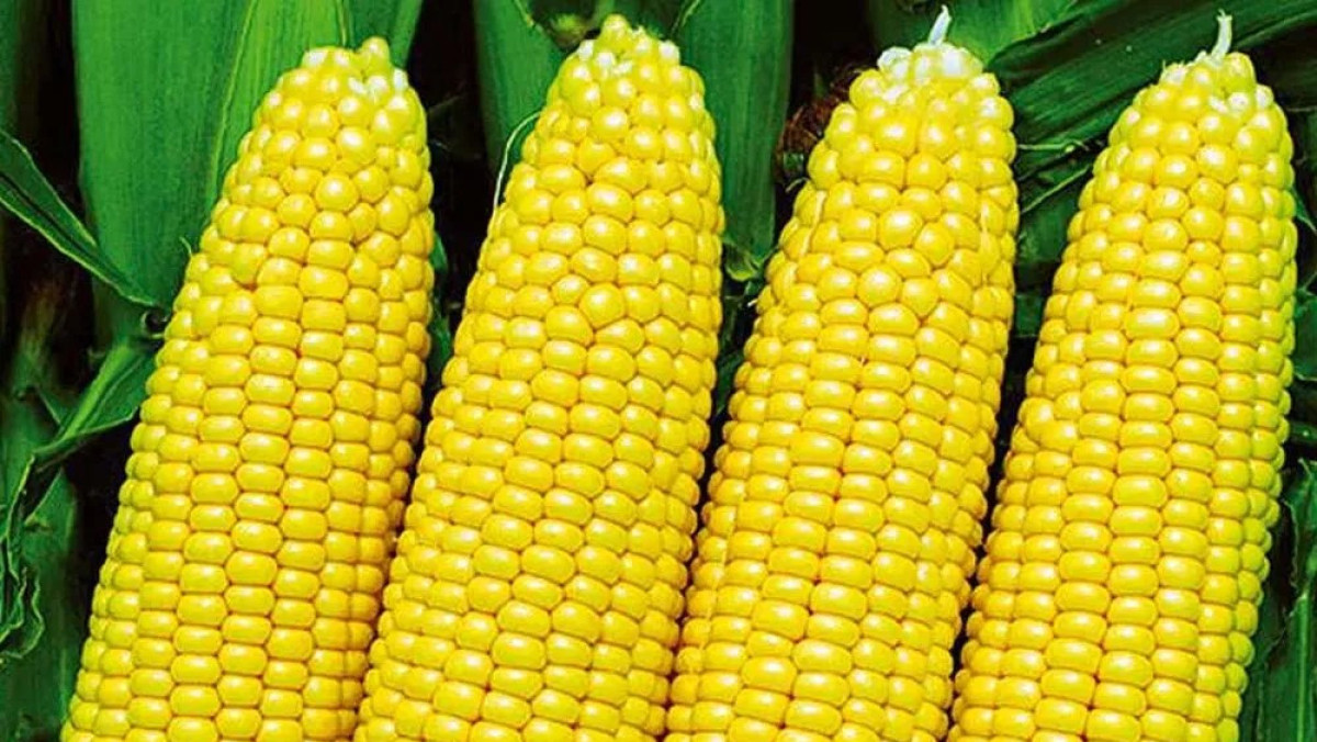  Из открытых источников