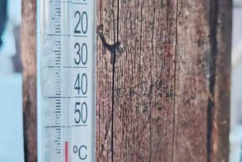 Фотография к новости: Морозы до −55 градусов зафиксировали в резервате "Семей орманы"