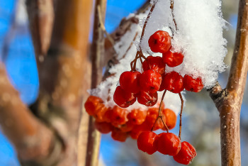 Фотография к новости: В каких регионах Казахстана потеплеет в ближайшие три дня, рассказали синоптики