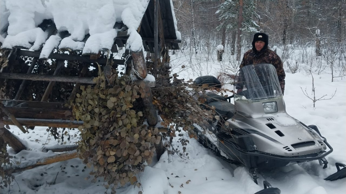  Семей орманы