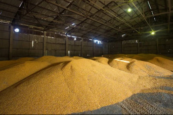 Фотография к новости: О рисках срыва предстоящей посевной кампании заявили фермеры Павлодарской области