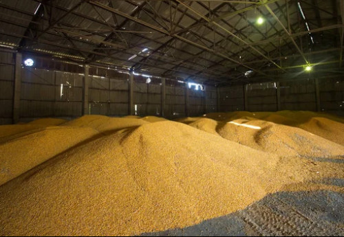 Фотография к новости: О рисках срыва предстоящей посевной кампании заявили фермеры Павлодарской области