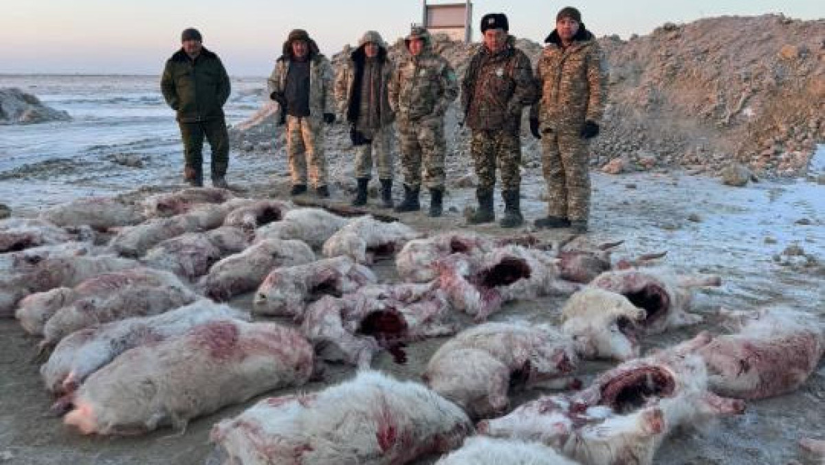  Минэкологии РК