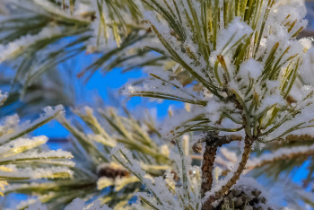 Фотография к новости: О погоде в Казахстане в выходные рассказали синоптики