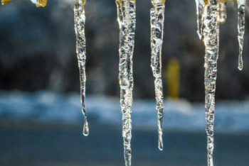 Фотография к новости: Весна придет в западный Казахстан
