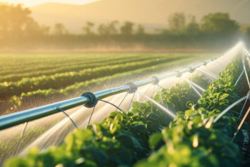 Фотография к новости: Стоимость поливной воды снизили для аграриев на юге Казахстана