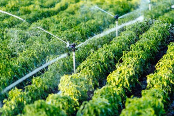 Фотография к новости: Подземные воды станут чаще использовать в сельском хозяйстве в Казахстане