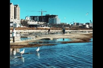 Фотография к новости: "Стремительно мелеет" — новое видео Каспия обсуждают в Сети