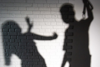 Фотография к новости: Поправки в закон о насилии были приняты после поддержки Президента – мажилисмен