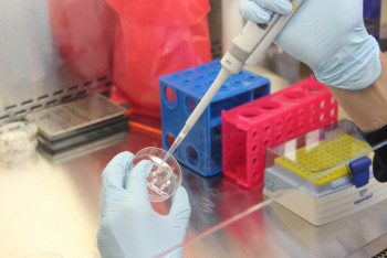 Фотография к новости: В Казахстане опровергли слухи о биолабораториях Пентагона в стране