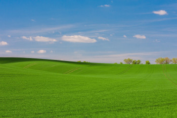 Фотография к новости: В Алматинской области государству возвращено 20 тысяч га земель