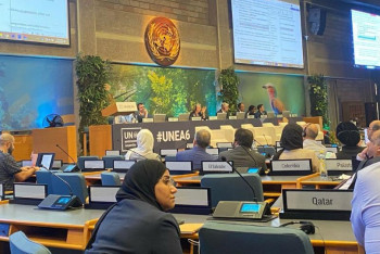 Фотография к новости: Казахстанские экологи выступили на сессии Ассамблеи ООН по окружающей среде